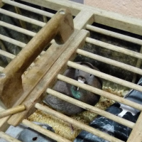 216209891img20151016075408[1]